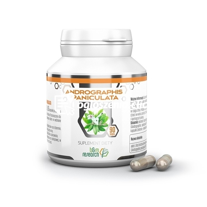 Zdjęcie produktu Andrographis Paniculata 90 kaps