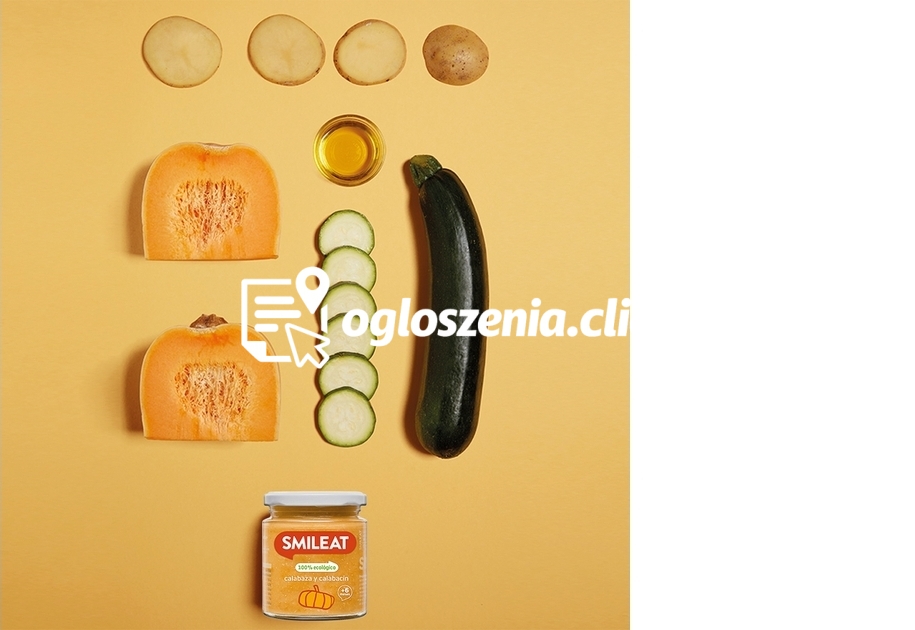 Zdjęcie produktu BIO Dynia i cukinia, ekologiczny obiadek w sloiczku, 230 g
