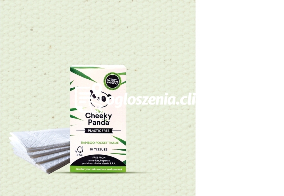 Zdjęcie produktu Chusteczki higieniczne kieszonkowe w kartoniku, 10 szt